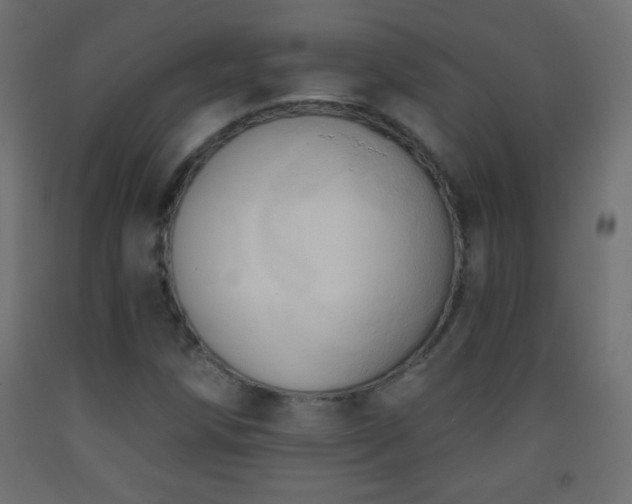 X0000093381258200710111448