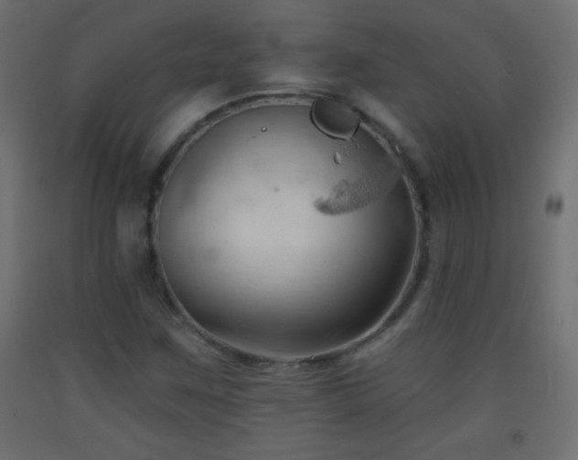 X0000093381259200710111448