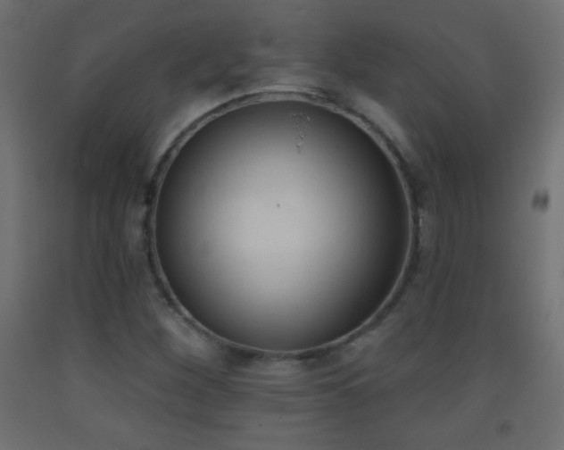 X0000093381260200710111448