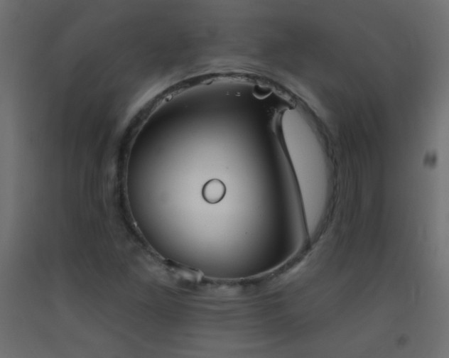 X0000093381261200710111448