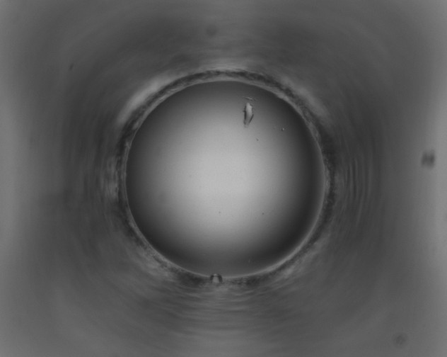 X0000093381262200710111448