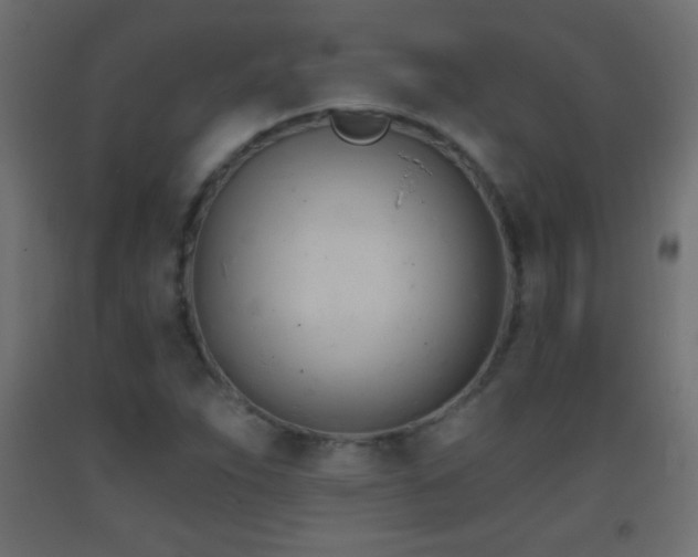 X0000093381263200710111447