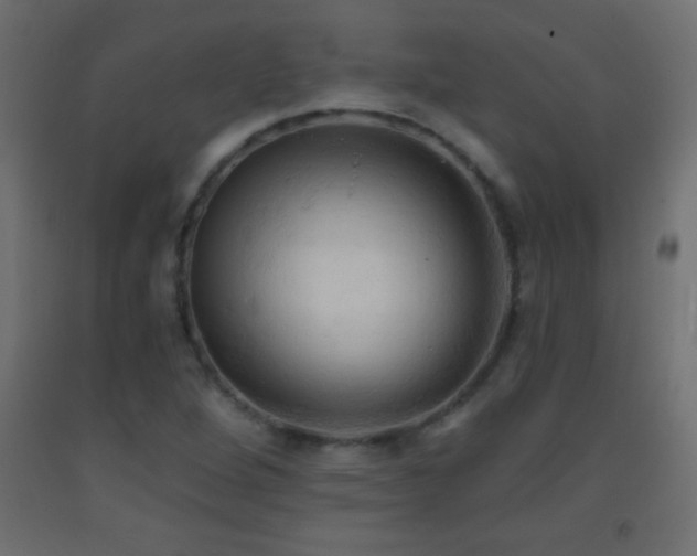X0000093381264200710111447