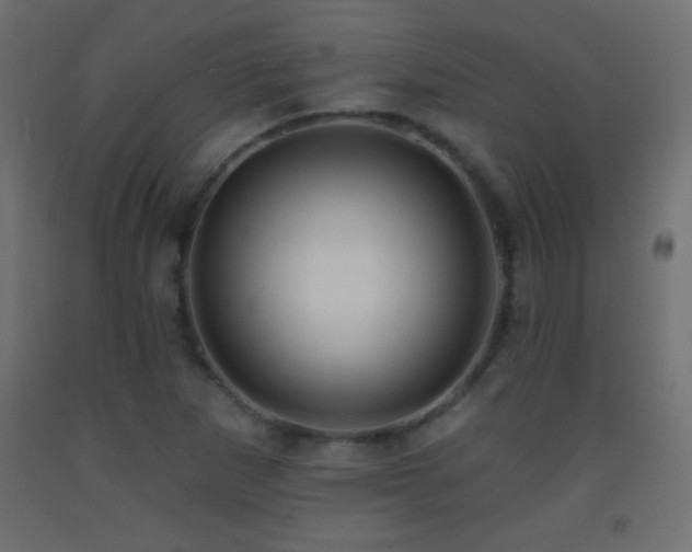 X0000093381265200710111447