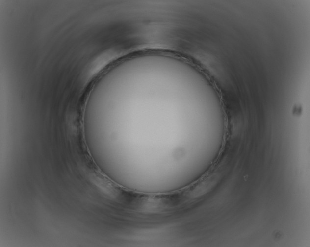 X0000093381266200710111447