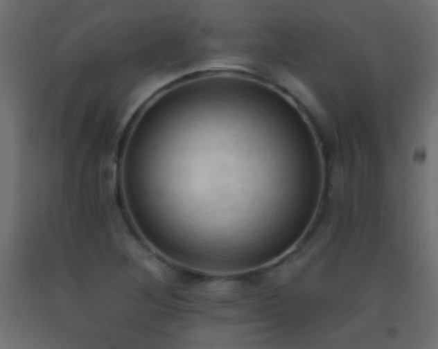 X0000093381268200710111447