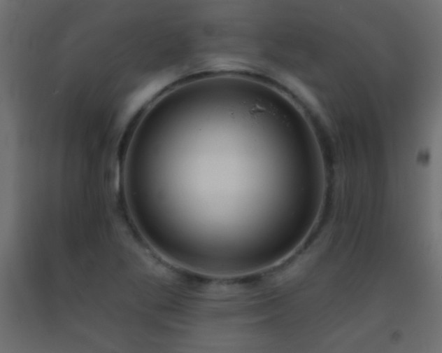 X0000093381269200710111447