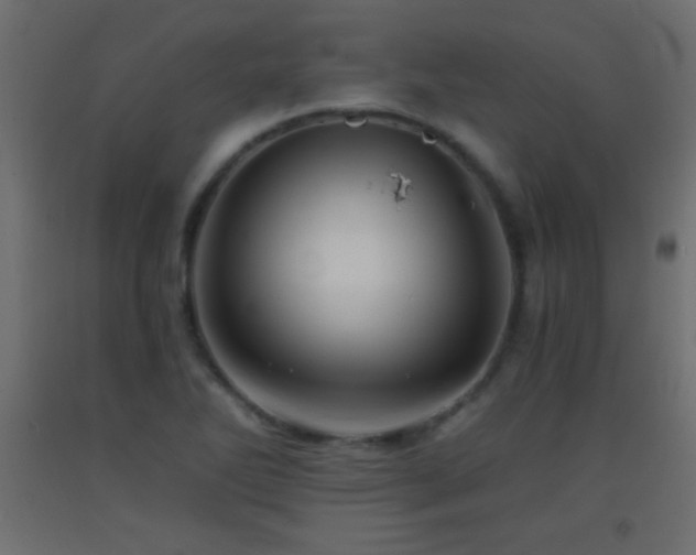 X0000093381270200710111447