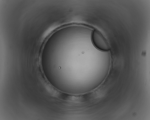 X0000093381271200710111447