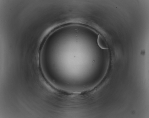 X0000093381272200710111447