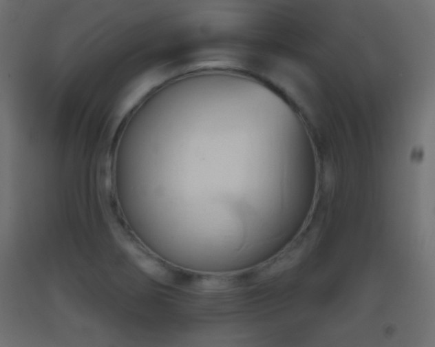 X0000093381274200710111447