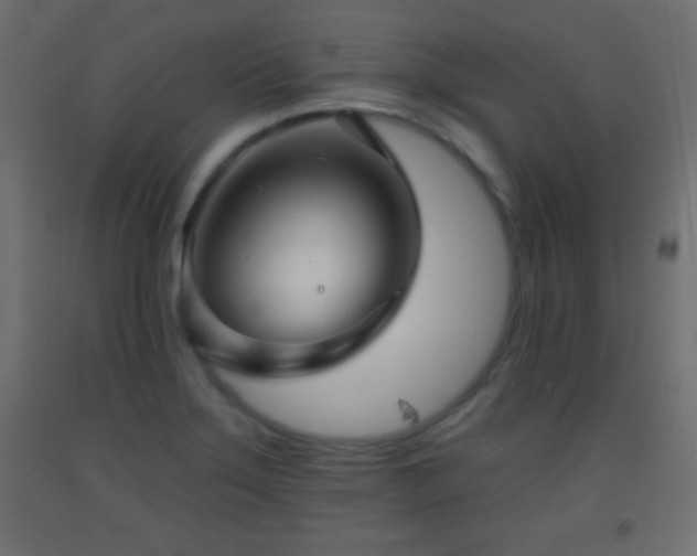 X0000093381275200710111447