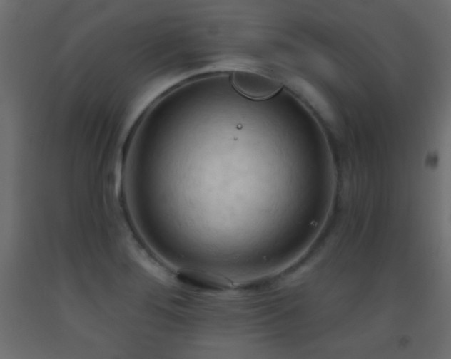 X0000093381276200710111447