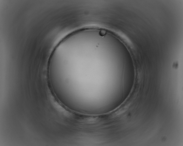 X0000093381279200710111447