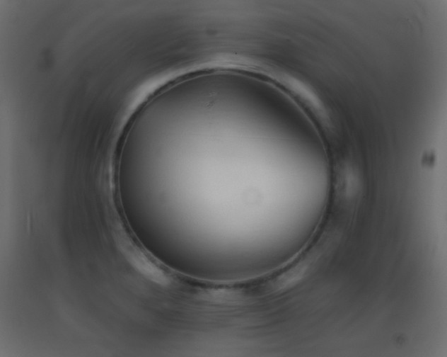X0000093381280200710111447