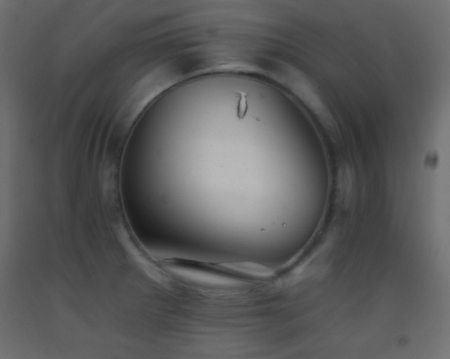 X0000093381281200710111447