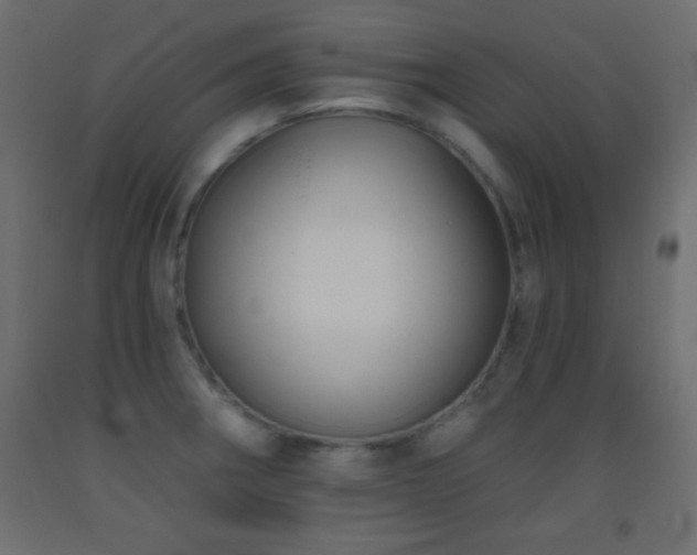 X0000093381282200710111447