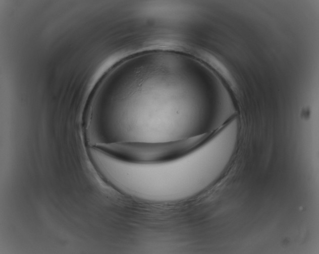 X0000093381283200710111447