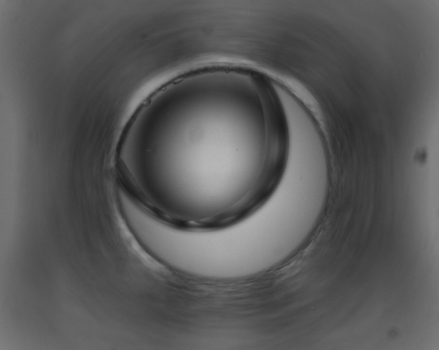 X0000093381287200710111447