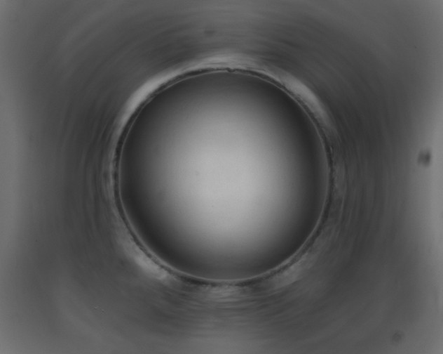 X0000093381288200710111447
