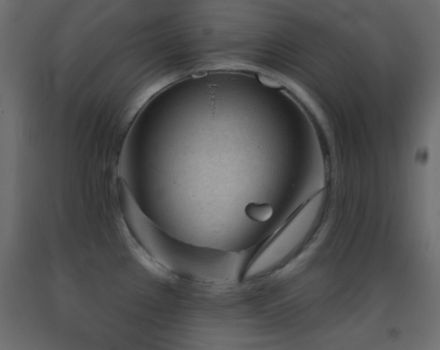 X0000093381289200710111447