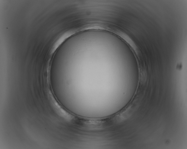 X0000093381290200710111447