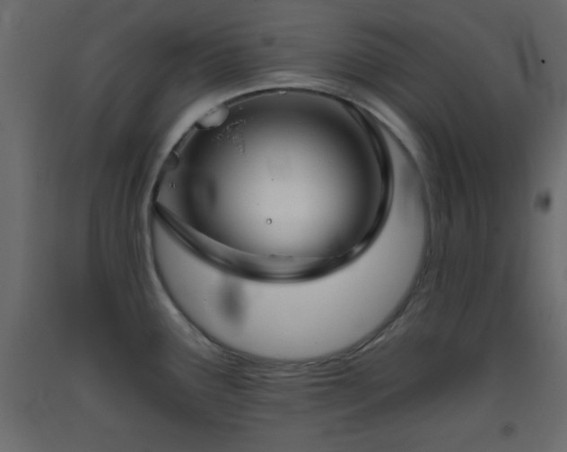 X0000093381291200710111447