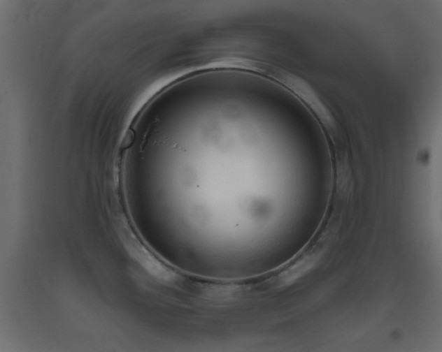 X0000093381292200710111447
