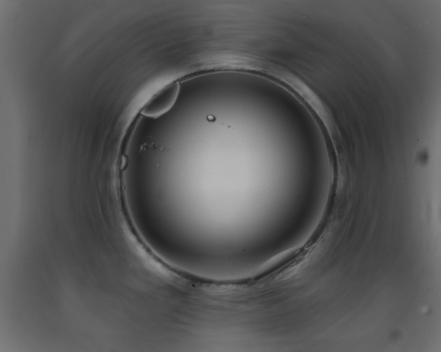 X0000093381293200710111447