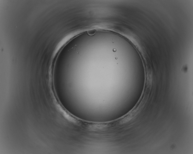 X0000093381294200710111447