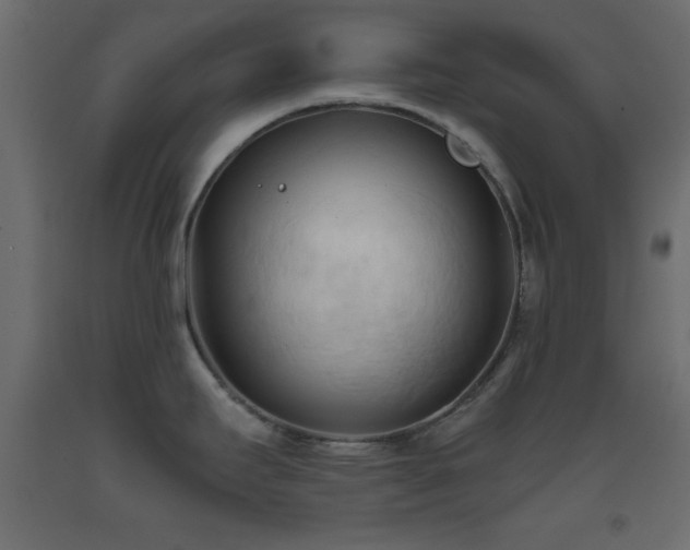 X0000093381295200710111447