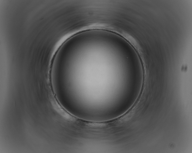 X0000093381296200710111447