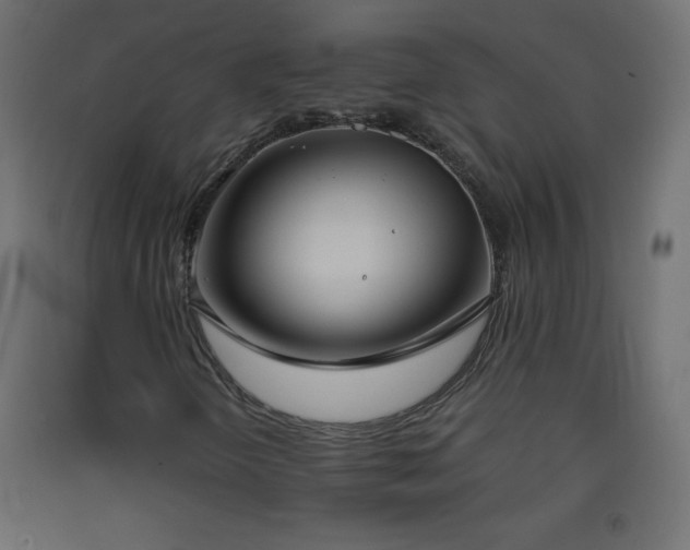 X0000093381298200710111446