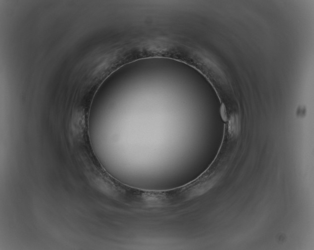 X0000093381299200710111446