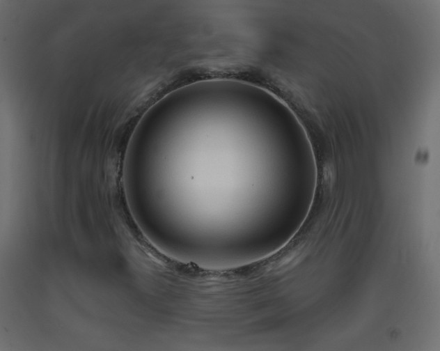 X0000093381300200710111446