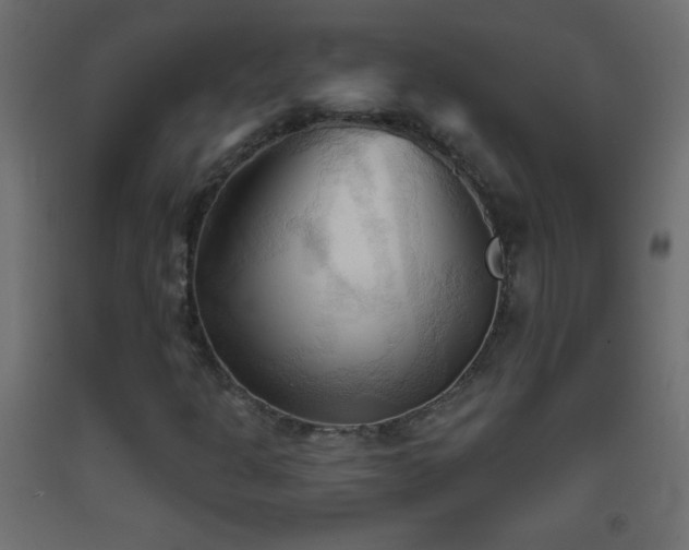 X0000093381301200710111446