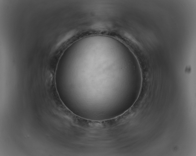 X0000093381302200710111446