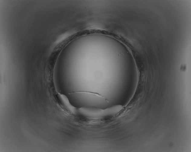 X0000093381303200710111446