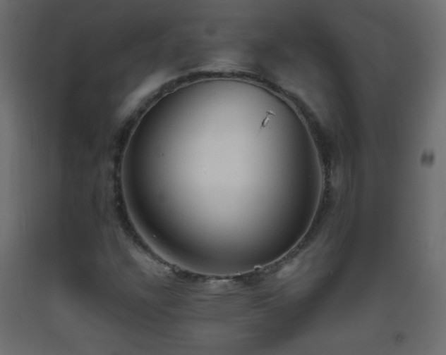 X0000093381304200710111446