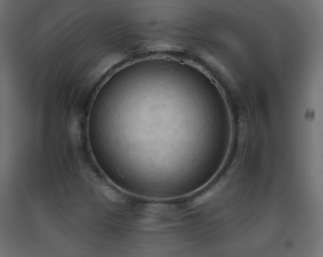 X0000093381305200710111446
