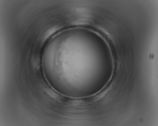 X0000093381306200710111446