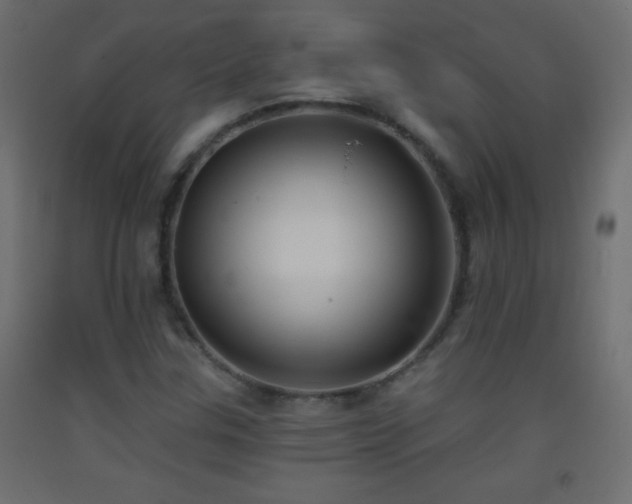 X0000093381307200710111446