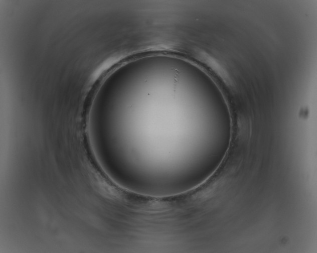 X0000093381308200710111446