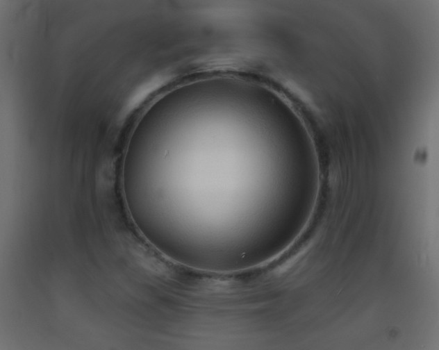 X0000093381309200710111446