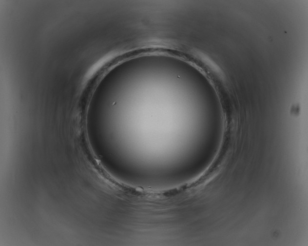 X0000093381310200710111446