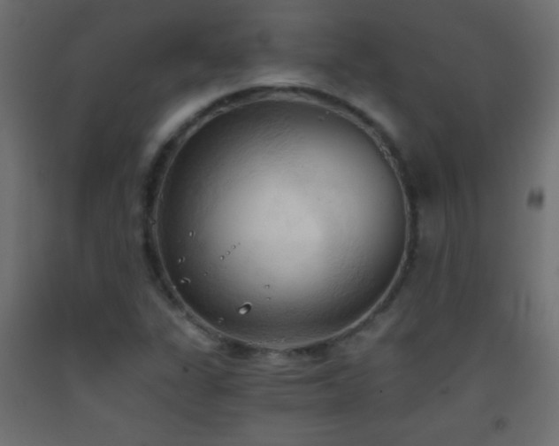 X0000093381311200710111446