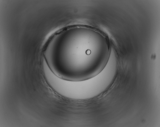 X0000093381312200710111447