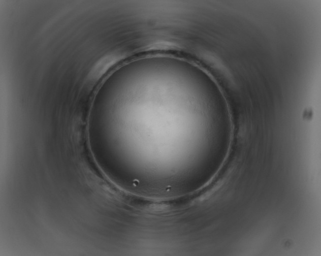 X0000093381313200710111447