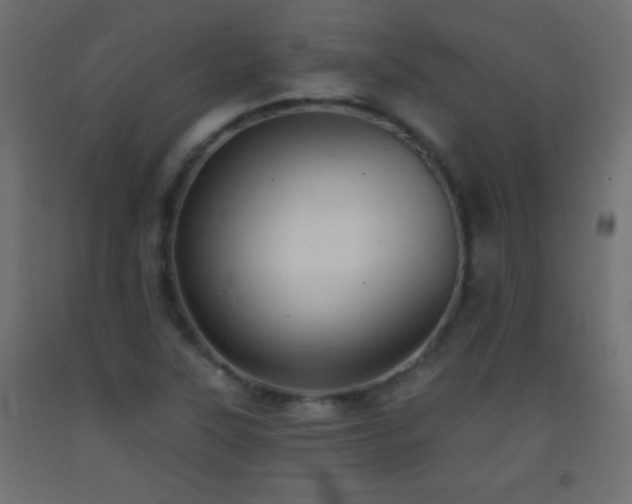 X0000093381315200710111447