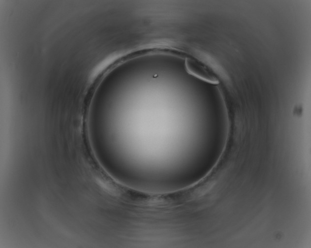 X0000093381316200710111447